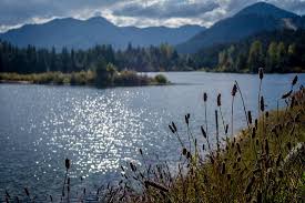 You can barely tell that it's not a natural pond. Perfect Trail For Shoeshoeing Review Of Gold Creek Pond Trail Snoqualmie Wa Tripadvisor