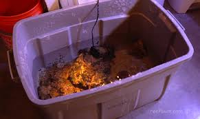 Top deals with free shipping included. How To Start A Reef Tank With Live Rock Reefbum