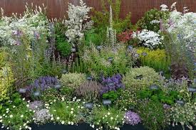 Typical Plants Found Within A Witch S Garden Include Rosemary Sage Parsley Mint Catnip Henbane Marjoram Herb Garden Design Medicinal Herbs Garden Plants