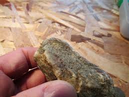 Unless you are hunting for gold too especially in a highly mineralized soil. Not Fool S Gold But It Once Fooled Me Detector Prospector Forum Detectorprospector Com