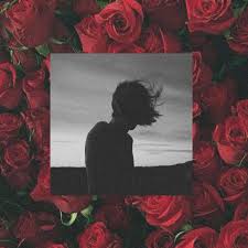 I Don T Wanna Be Your Friend I Wanna Kiss Your Lips Wallpaper Girl In Red 4am Album Art Red Aesthetic Album Covers