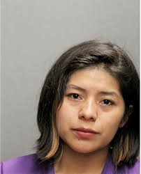 ᐅ Illinois Criminal Records 2009-2026