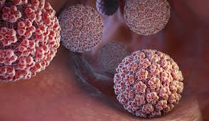 Image result for human papillomavirus symptoms