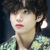 This is official tiktok for bts. Https Encrypted Tbn0 Gstatic Com Images Q Tbn And9gcrcxh7nnf74tgps5t03x5uitgcfnjjbzxepzxlrcrignkm5fgua Usqp Cau