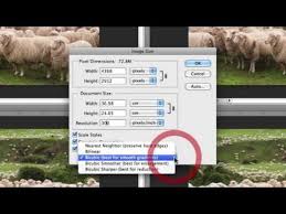 How To Resize An Image In Photoshop Without Losing Quality How To Resize Images In Photoshop Without Losing Quality Photoshop Photoshop Photography Photo Editing Photoshop