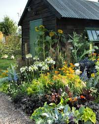Our Planet Plants On Instagram John Wheatley And Mary Payne Garden Agapanthus Campanulatus White Amar In 2020 Cottage Garden Garden Styles Cottage Garden Plants