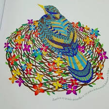 Julie On Instagram Finally Bird Ptak Finish Finished Colors Colorful Colo Millie Marotta Coloring Book Animal Kingdom Colouring Book Coloring Books