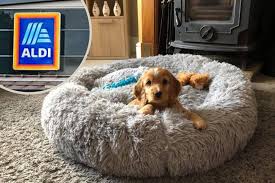 Maybe you would like to learn more about one of these? Dog Owners Are Frantically Searching For 20 Aldi Dog Beds The Northern Echo