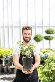 Check spelling or type a new query. Portrait Of A Handsome Gardener Holding A Pot With Flower In The Greenhouse Plant Seller Taking Care Of Flowers In The Shop Stock Photo Picture And Royalty Free Image Image 60986426
