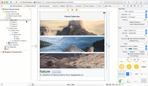 An Introduction To Stack Views In Ios 9 And Xcode 7 Views Scene Photo Ios App Development
