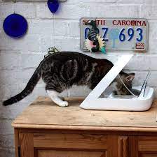 Cat puzzle feeder pets at home. 18 Best Food Puzzles For Cats And Dogs The Strategist