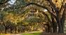 Wedding Venues