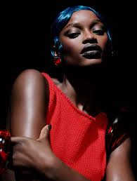 Mayowa Nicholas in Celine