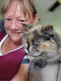 Cool Cat Cartoon Discussion and Availability