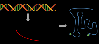 Smoke detectors & co detectors. 2