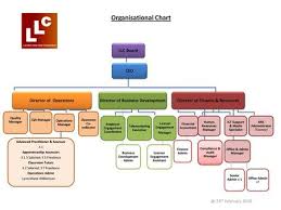 Senior Management Organizational Chart Chief Executive