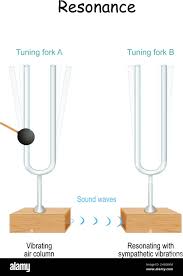 Image result for Tuning Fork Test
