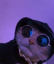 Drippy Led Light Pimped Facetime Cat Icon In 2021 Cat Profile Cat Icon Funny Profile Pictures