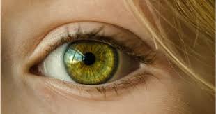 Free Online Eye Exam Contact Prescription 40 Value