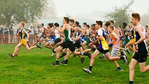 22 CROSS COUNTRY PREVIEW