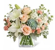 All coupons deals free shipping verified. Best Place To Order Flowers Online Proflowers Vs 1800flowers Vs Ftd Vs Teleflora Vs Bouqs Earth S Friends
