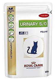 Royal Canin Feline Diet Urinary S O Beef Cat Food Wet 48 X 100g You Can Find Out More Details At The Link Of The Imag Dry Cat Food Royal Canin