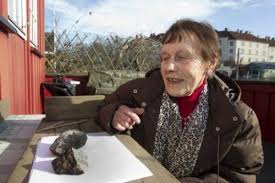 Jul 25, 2021 · norway's meteor network is analyzing video footage to try to determine the meteor's origin and where it fell. Encounters Of Another Kind Meteorite Chunk Falls On Oslo