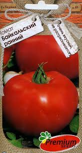 Tomato Baikalsky Early Russian High Quality Seeds Tomato Seeds Vegetables