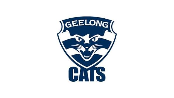 Cats announce end of year results