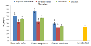 Image result for Ochthocharis dicellandroides