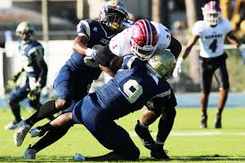 This pest control warner robins quote includes: Yellow Jackets Fall In Region Opener To Fromm Demons Local Sports Timesenterprise Com