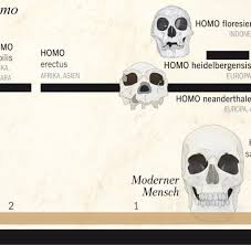 „das waren nicht die pflanzen und tiere, an die homo erectus gewöhnt war, und die art konnte sich. Homo Verandert Sich 2 Was Sich Bei Mir Verandert Hat Elwanda Persaud