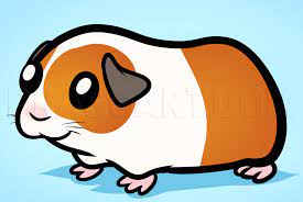 Animal groups and babies often have strange names. How To Draw A Guinea Pig For Kids Step By Step Drawing Guide By Dawn Dragoart Com