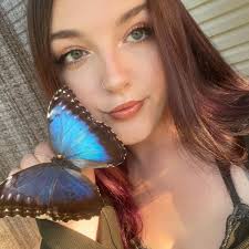 Giant schnauzer training recommendations needed