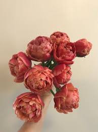 For every subscription box of flowers you receive, we pledge to donate £1 to support this important movement and help more people live in safety. Flower Of The Month One Year Subscription Jane Guerin Flowers