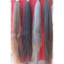 Terjemahan frasa rambut palsu dari bahasa indonesia ke bahasa inggris dan contoh penggunaan rambut palsu dalam kalimat dengan terjemahannya: Rambut Palsu Antol Cemare Cemara Shopee Indonesia