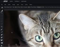 Snapseed is a mobile app that can remove emoji from picture on both android and ios devices. 3 Best Ways To Remove A Smiley From Pictures Online