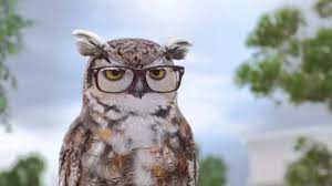 Upload a selfie and try on glasses virtually. America S Best Youtube