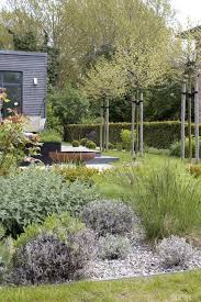 Dieartigeblog Garten Kiesbeet Mit Lavendel Katzenminze Rose Grasern Fenchel Terrasse Mit Kugelplat Kiesbeet Gartendesign Ideen Moderne Gartenentwurfe