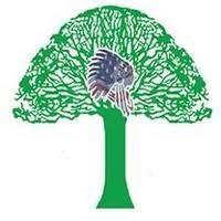 Founded in 1970 by bob dubee and john woytas, greenwood tree and lawn has 45 years in the tree and lawn care business in north jersey. Rods Tree Service Owner Rods Tree Service Linkedin