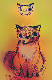 Bildergebnis für janus cat