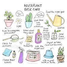 Basic Houseplant Care Illustration Cindy Mangomini Drawing Illustrations Plants Houseplants Kamerplanten Verzor Plant Care House Plant Care House Plants