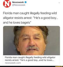 Florida Man Caught Illegally Feeding Wild Alligator Resists Arrest He S A Good Boy And He Loves Bagels Florida Man Caught Illegally Feeding Wild Alligator Florida Funny Stupid Funny Memes Florida Man