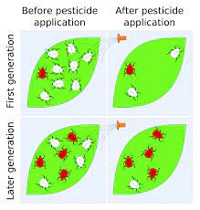 It efficiently reduces the number of pests without leaving any consequences for the rest of the environment. Pesticide Resistance Wikipedia