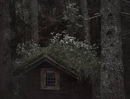 The Dream Slytherin Aesthetic Dark Aesthetic Nature Aesthetic