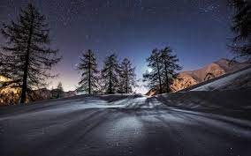 Trees And Stars In Nighttime Landscape Background Wallpapers For Earth Pictures Nature Mountains Photo