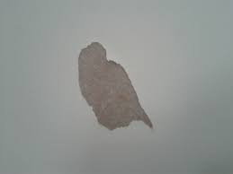 Why is yourdrywall tape loose or puckering or cracked. Paint Got Ripped Off When Trying To Remove Double Sided Foam Tape Home Improvement Stack Exchange