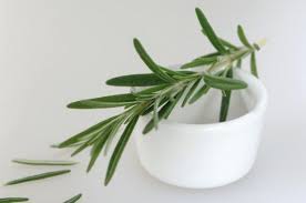 Romarin 15 Bienfaits Et Vertus Pour La Sante Romarin Plantes Aromatiques Vertus Du Romarin