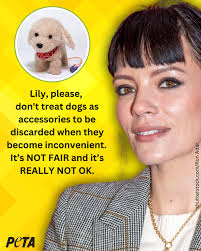 PETA UK