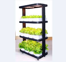 Mastering the art of hydroponic growing is strikingly natural with our indoor garden kits. Indoor Smart Garden Home Garden Kit To Plant Salad Vegetable Herbs Potatoes Flowers For Family Hydroponics System For Home Buy Indoor Garden Smart Garden Hydroponics System For Home Plant Light Plant Box Hydroponics System For